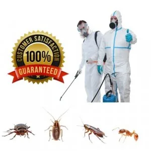 Pest Control Services in Hyderabad