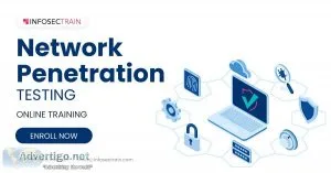 Network penetration testing training
