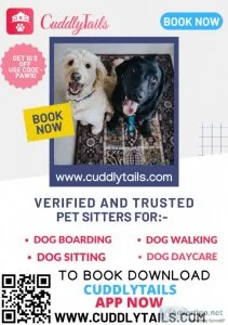 The Biggest Dog Boarding and Daycare Cape Coral FL  Cuddlytails.