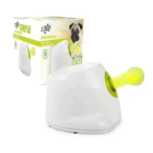 Dog Interactive And Stimulating Toy At Pets Villa