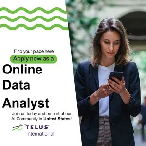 Online Data Analyst in the US