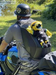 NFL Jacksonville Jaguars Mascot doll Jaxson De Ville