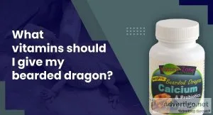 Why do vitamins for bearded dragon are required