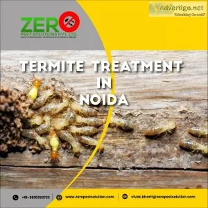 Get effective termite treatment plans for delhi- contact us now