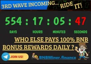 The Highest Running Miner Called BNBMiner.finance Pays good Pass