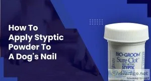How To Apply Bio Groom Sure Clot Styptic Powder For Dogs