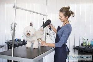 Pet Grooming Katy  Top Pet Grooming Salon  Salty Dawg Pet Salon