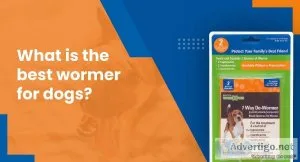 What Is The Best Wormer For Dogs