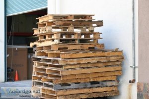 We want your unwanted pallets