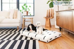 Best Designer Dog Beds in Australia