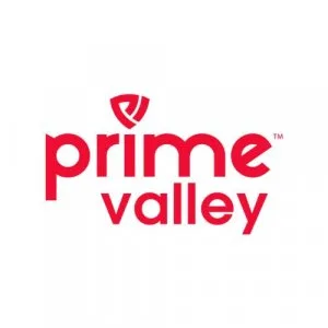 Prime valley | digital marketing compan