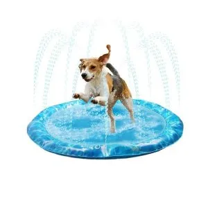 Keep Your Dog Cool And Active With Summer Toys  Pets Villa