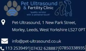 Progesterone Blood Test near me