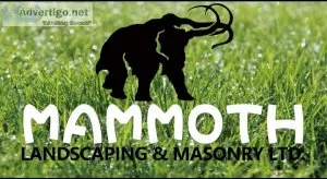 Experienced Landscaper