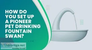 Is pioneer pet swan cat drinking fountain good to use for pets
