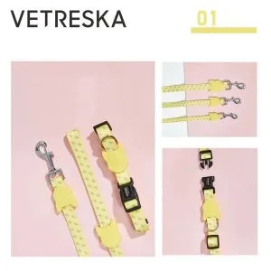 Dog Collar and Lead A Must Need Set For Dogs  Pets Villa