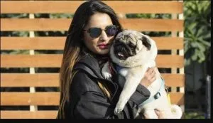 The Power of Pets. Do You Have Pets 
