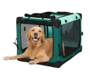 Get affordable and Portable Dog Kennel in USA