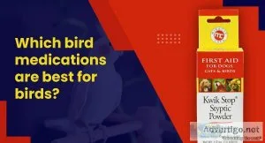 Which Bird Medications Are Best For Birds
