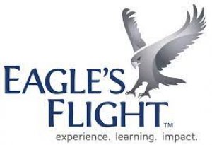 Disc assessment in india- eaglesflight india