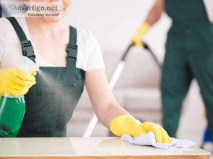 What Services Can You Expect from Professional Cleaners