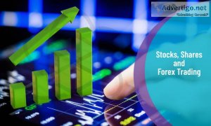 Best online stock trading courses for beginners