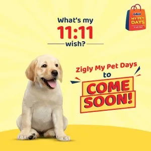 ZIGLY MY PET DAYS ARE BACK