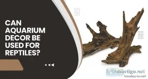Can Aquarium Decor Be Used For Reptiles