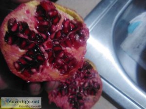 Pomegranates for sale