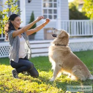 You Want to Get 5 Free DOG Training Guides