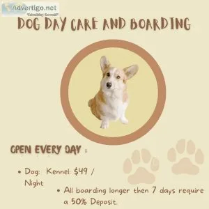 Dog Daycare and Boarding services in Tacoma