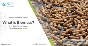 What is the definition of biomass