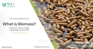 What is the definition of biomass