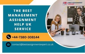 The best Management Assignment Help UK service