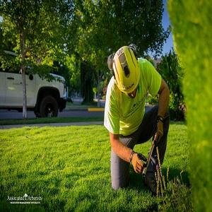 Expert Plant Health Care Services By Associated Arborists