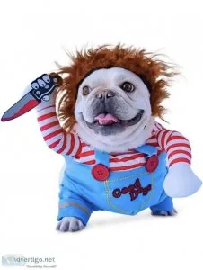 Funny dog Halloween costume.