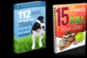 112 secrets to CURE common dog problems