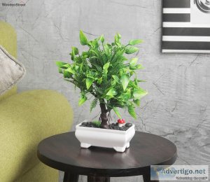 Check out latest design of artificial plants online at wooden st