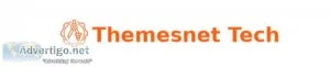 IT Product Manager