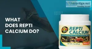 What Does Repti Calcium Do
