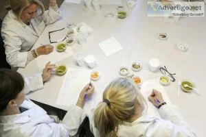 Start A Career Today - Food Product Tester