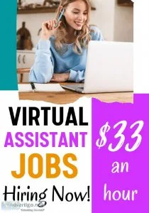 Hiring for Freelance Virtual Assistant - Online Job (33hour)  Ap