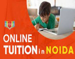 Get instant access online tuition in noida with ziyyara
