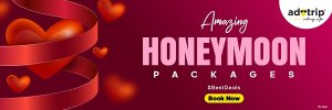 Best honeymoon tour packages in india - adotrip