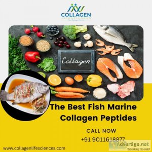 The best fish marine collagen peptides