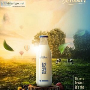 Cow milk in ahmedabad | best gir cow ghee in ahmedabad | milkmor