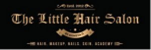 Top salon in pune - the little hair salon