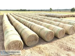 Haylage, hay, and straw