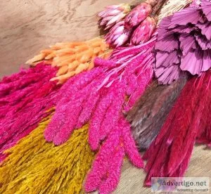 Buy Dried Pampas Grass Online in UK-Dried Flowers and Decor