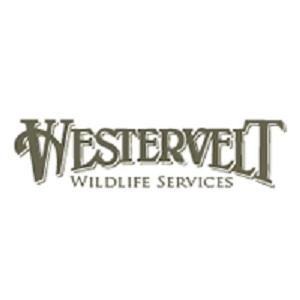 Deer Property Management Plan In Alabama - Westervelt Wildlife U